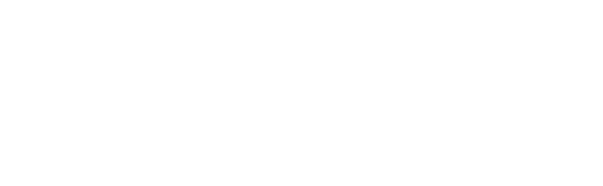 The Record Logo White
