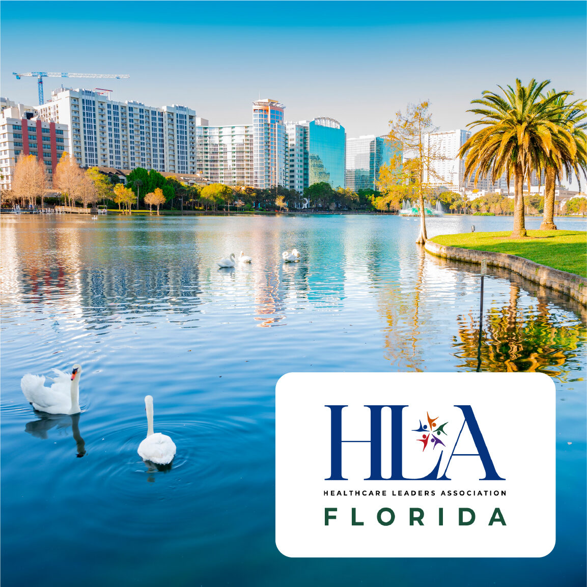 HLA FL Hero Image